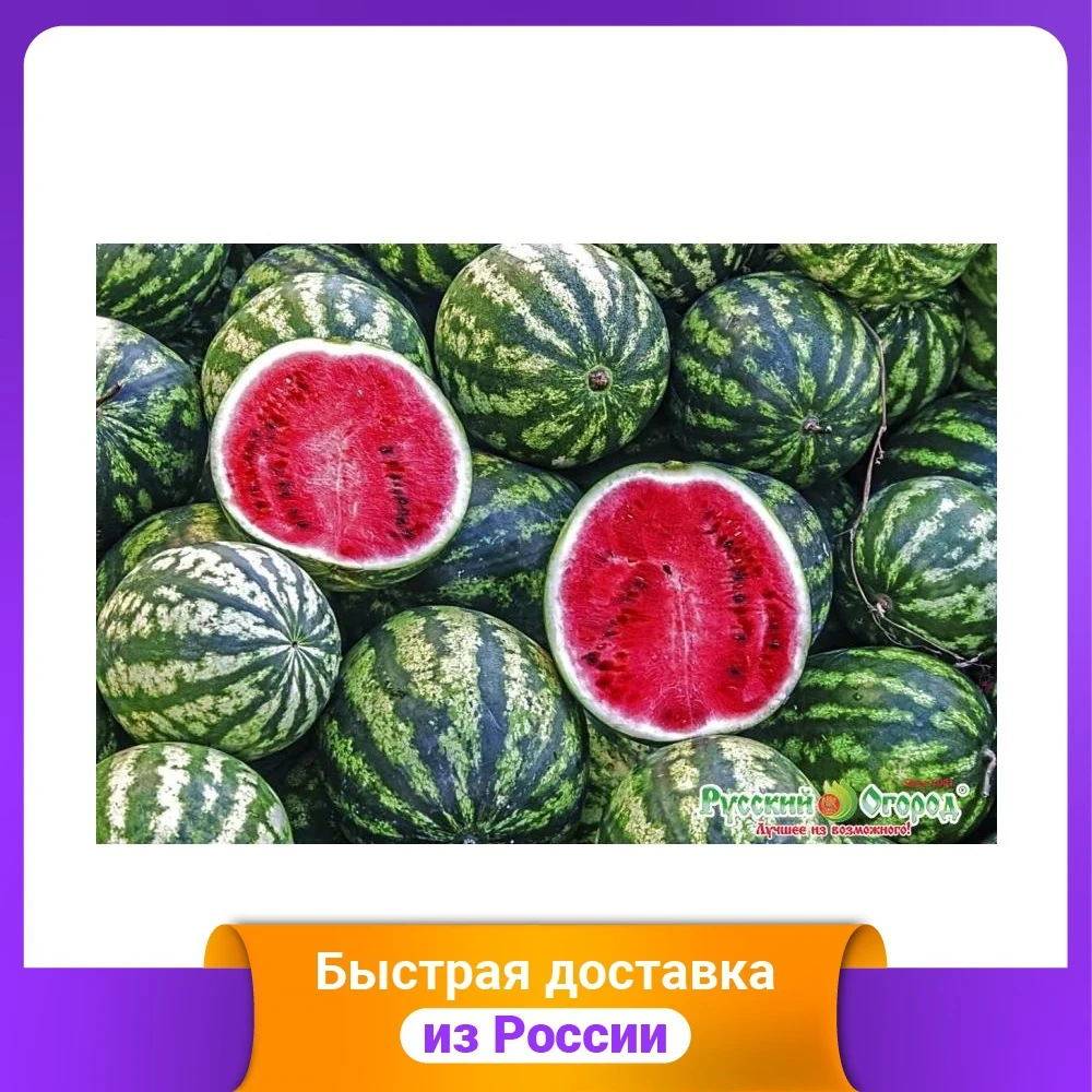 Семена. Арбуз "Астраханский" (вес: 1 г) | Дом и сад