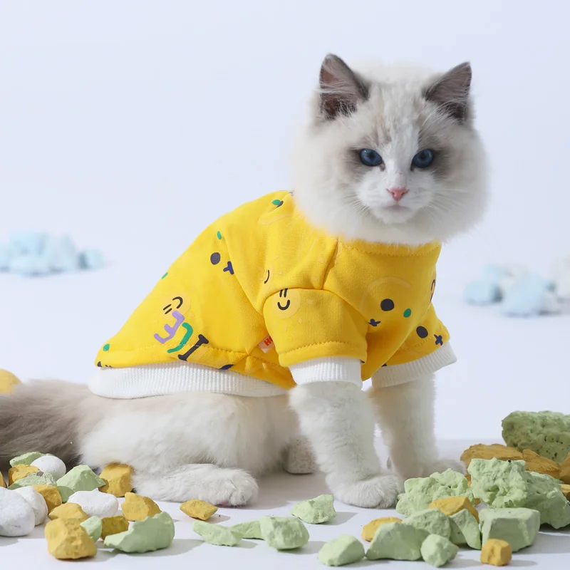 

Cat Clothes Thin Section Kitten Sweater Cat Winter Cute Winter Puppet Blue Cat Anti-hair Loss Kitten Pet Qat Ropa Gato Clothes