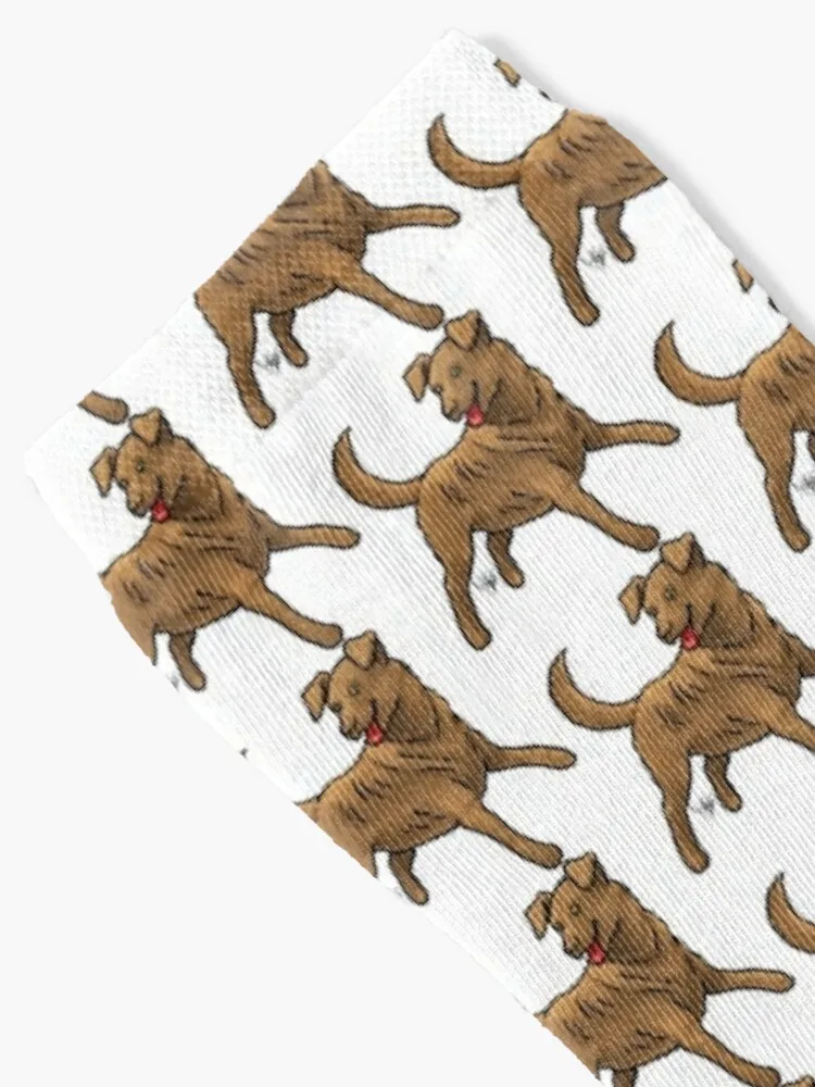 Носки Chesapeake Bay Retriever-Sedge крутой Забавный подарок мужские носки в стиле хип-хоп для