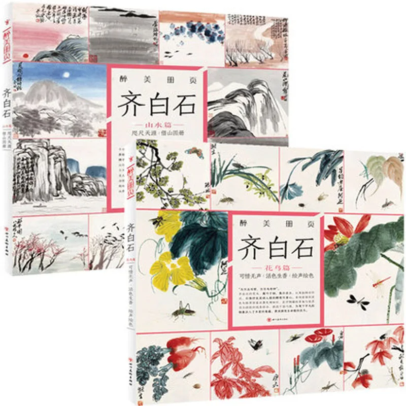 

Appreciation of Traditional Chinese Painting Qi Baishi Landscape Flower Birds Drawing Art Book