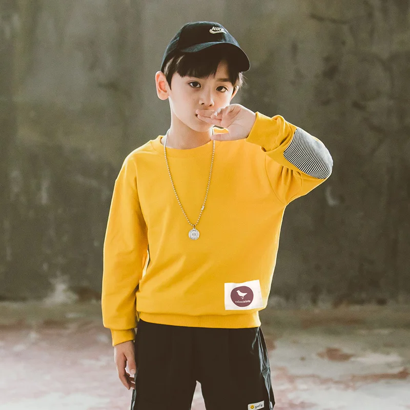 

Kids Boys Basic Sweatshirt Spring Autumn Pullovers Korean Street Casual Trendy Sports Loose Sweatshirts for Teens Tops 6-14 Year