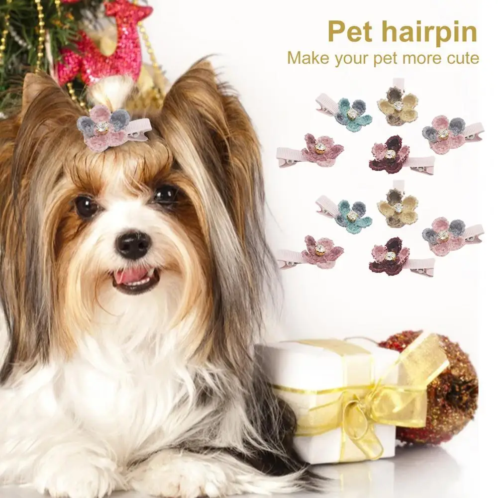 

10Pcs Pets Hairpin Novel Vivid Appearance Decorative Pet Grooming Hair Clips for Party Puppy Hair Clips Puppy Hair Hairpins