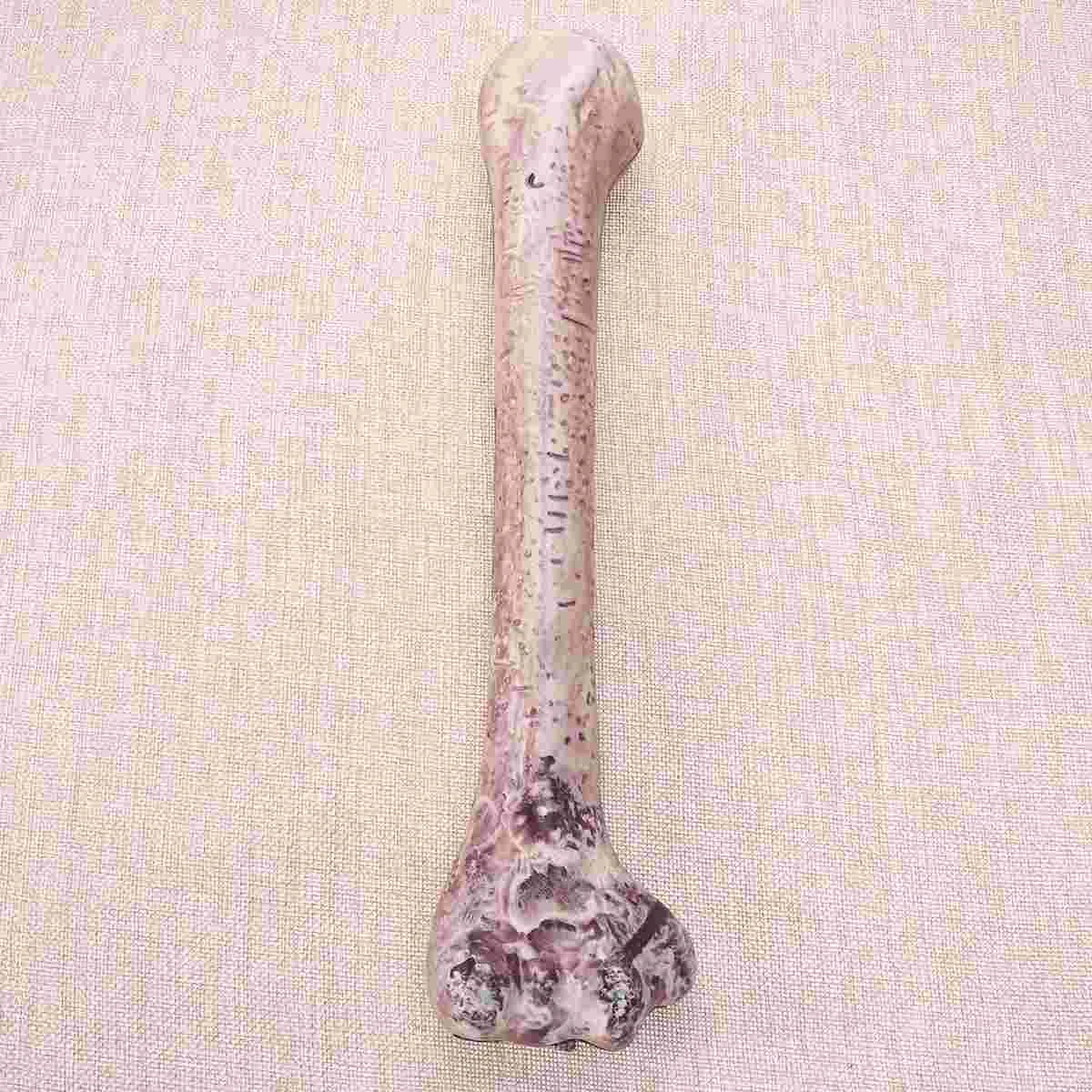 Props Simulative Human Skeleton Plastic Bones Model Dog False | Party &amp Holiday DIY Decorations