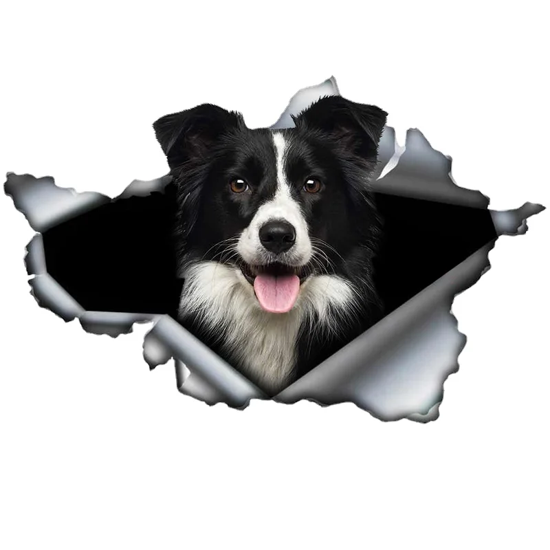 

13/17 CM Border Collie 3D Torn Car Sticker Original Design Vinyl Trunk Bumper Decoration Custom Decal F249