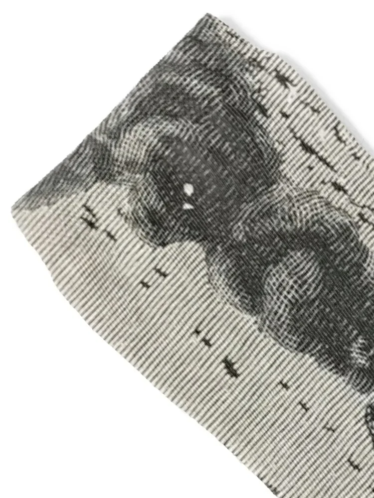 Mt. Vesuvius винтажная иллюстрация 1756 кроссовки беговые Нескользящие мужские носки