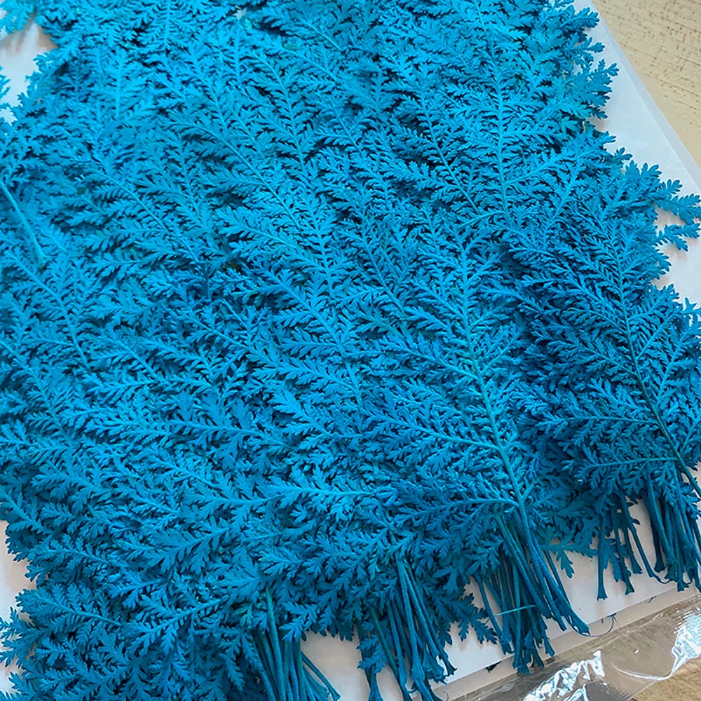 Artemisia Annua тисненые листья материалы для домашней фотосъемки DIY тиснение живопись