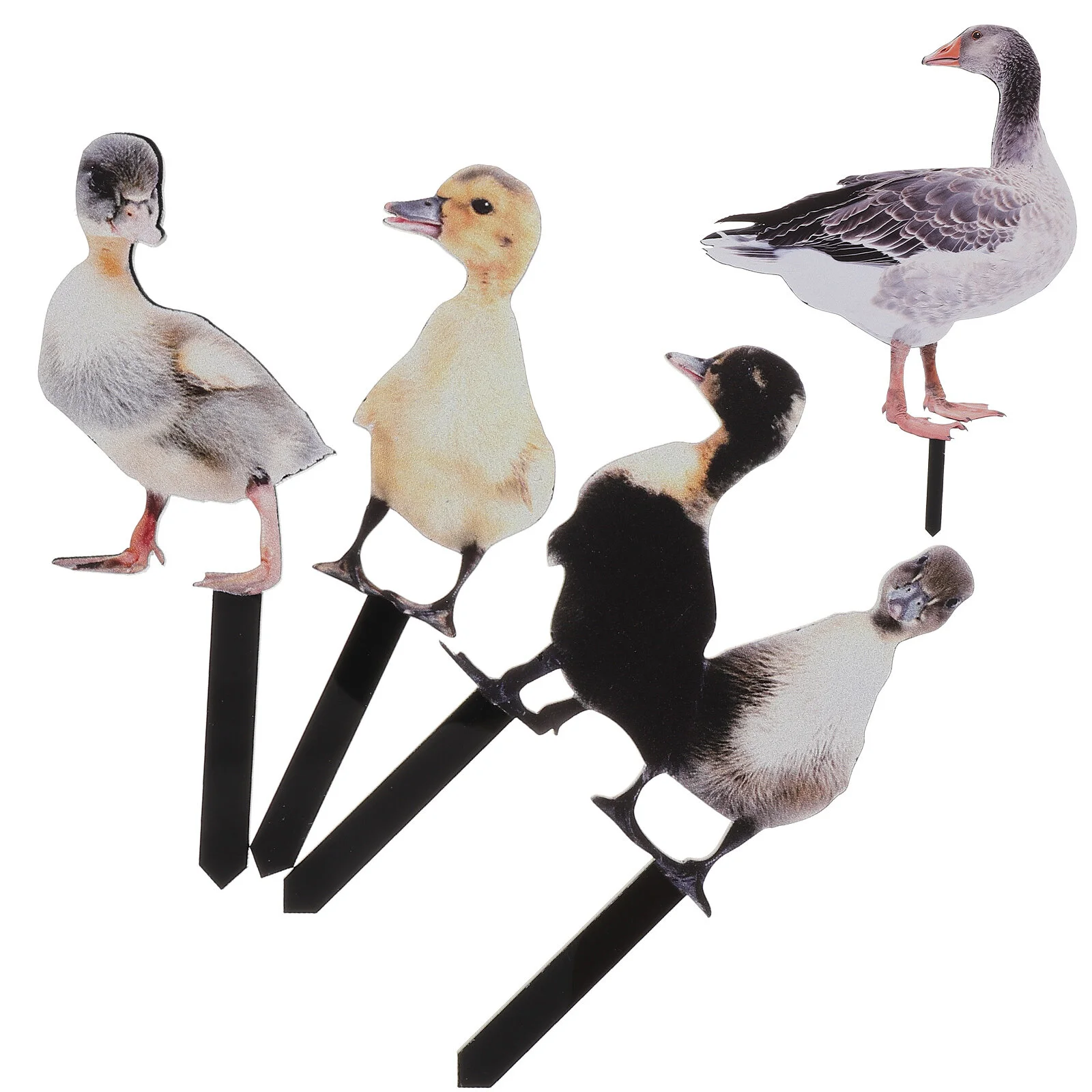 

Paddock Simulation Duck Insert Garden Decoration Outdoor Yard Animal Stakes Silhouette Lawn Ornament