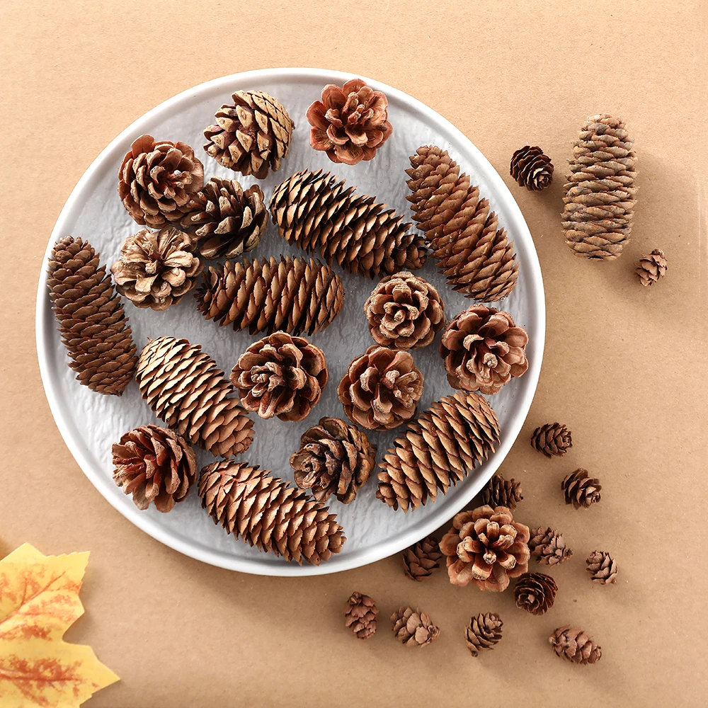 

10pcs Natural Artificial Flower Pine Nuts Fruit Dried Pineapple Cones for Christmas DIY Garland Wreath Xmas Wedding Decoration