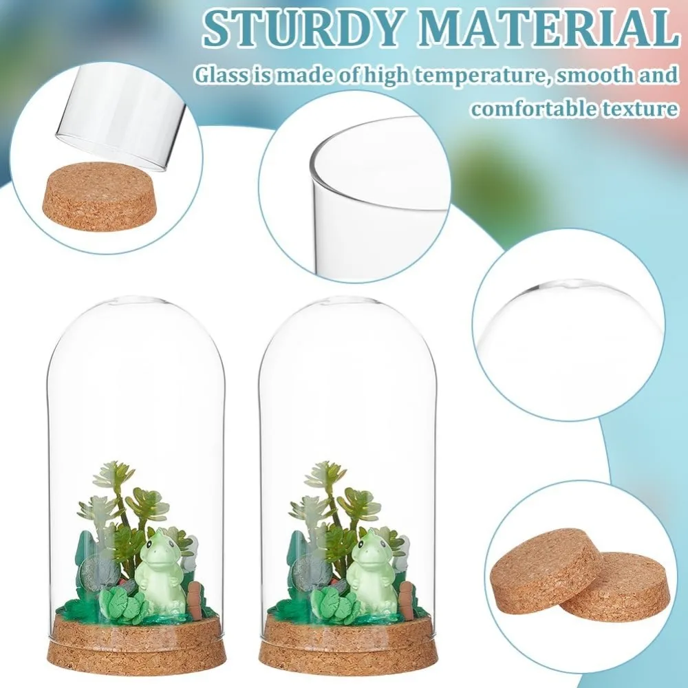 Комплект стеклянных куполов для цветов 2 шт