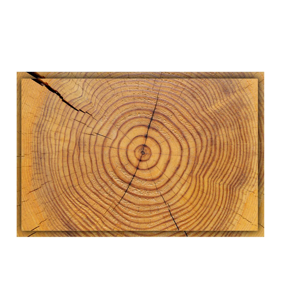 

1Pc Wood Grain Floor Mat Simple Home Floor Sitcker Non-skid Doormat Light Brown