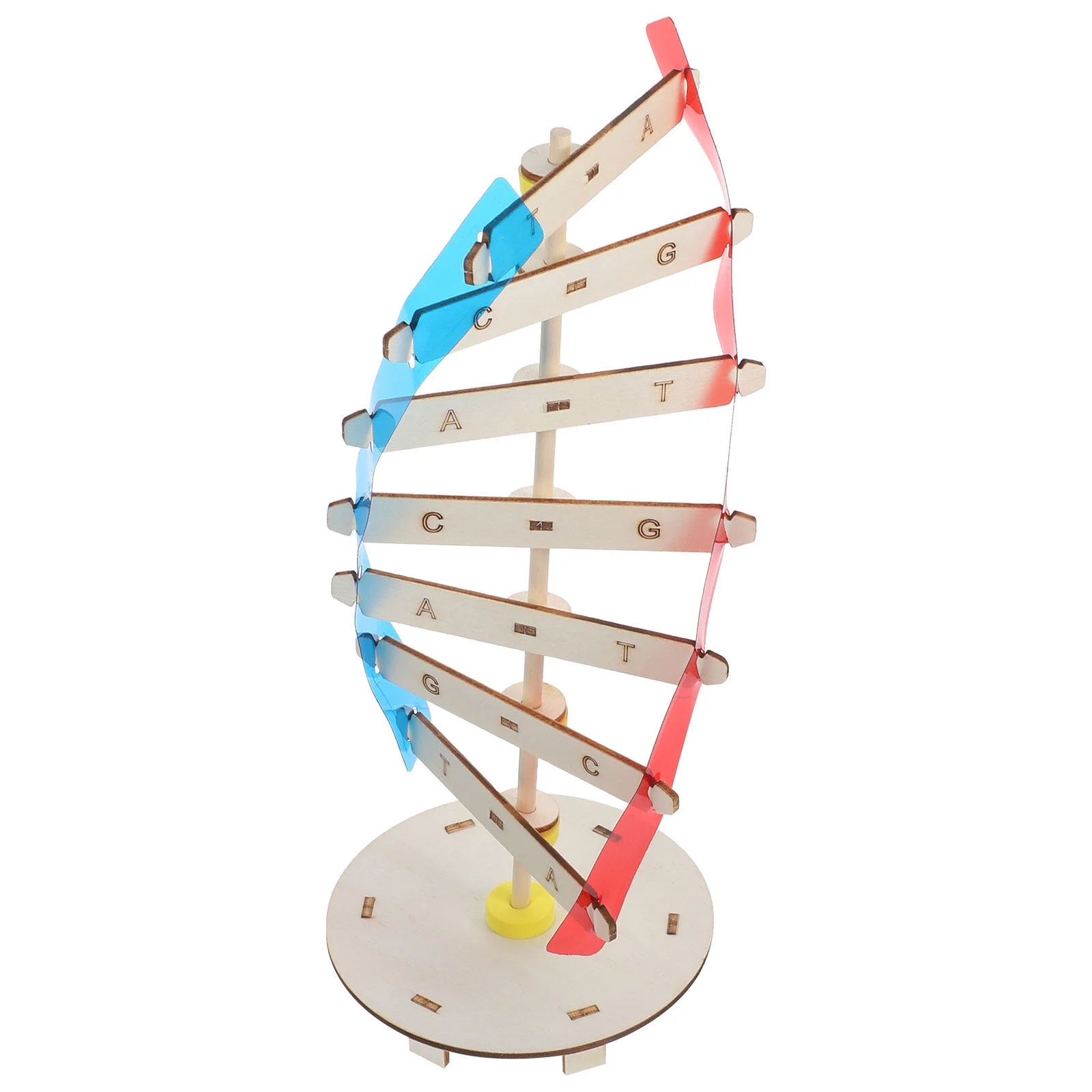 

Equipment Class DNA Model Science Teaching Plaything Scientific Genes Learning Tool
