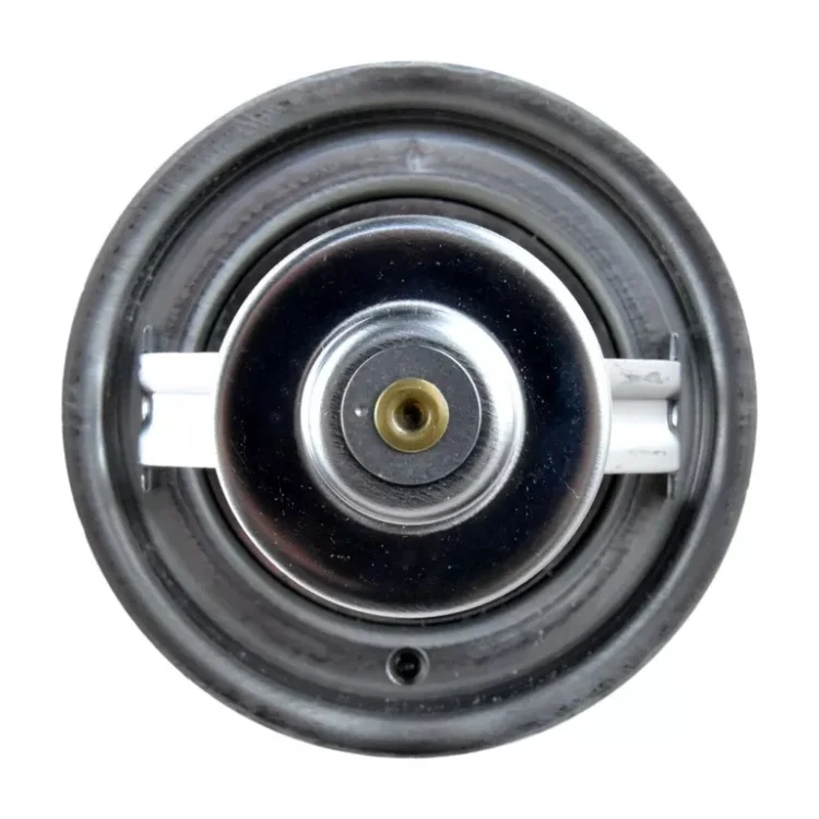 Термостат охлаждающей жидкости двигателя 022121113 1018799 1032249 1224808 Для Audi A3 TT PORSCHE CAYENNE 9PA