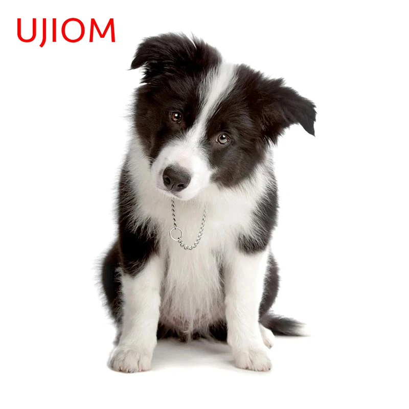 

UJIOM 13cm X 8.6cm Border Collie Dog Anime Decal Vinyl Decor Wall Sticker Self-adhesive Children Bedroom Illustration Decoration