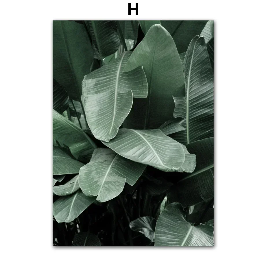 

Настенная картина "Тропические растения"