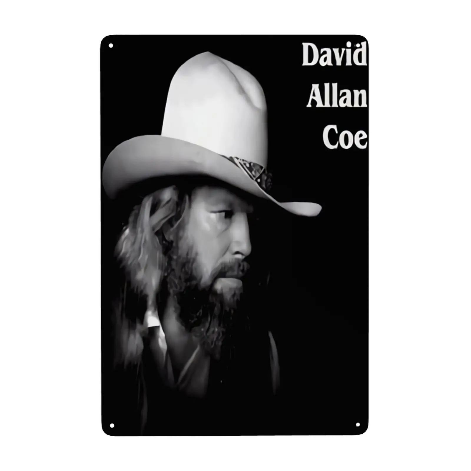 Металлические вывески WINCCOR David Singer Allan Coe Настенный декор Оловянная вывеска 8x12