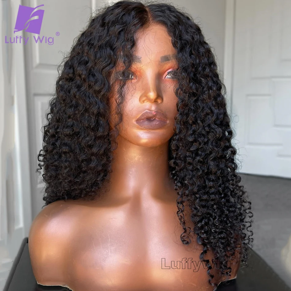 Thin HD Curly 13x6 Lace Front Wigs Pre Plucked Remy Human Hair Swiss Lace Glueless Lace Frontal Wigs Bleached Knots for Women