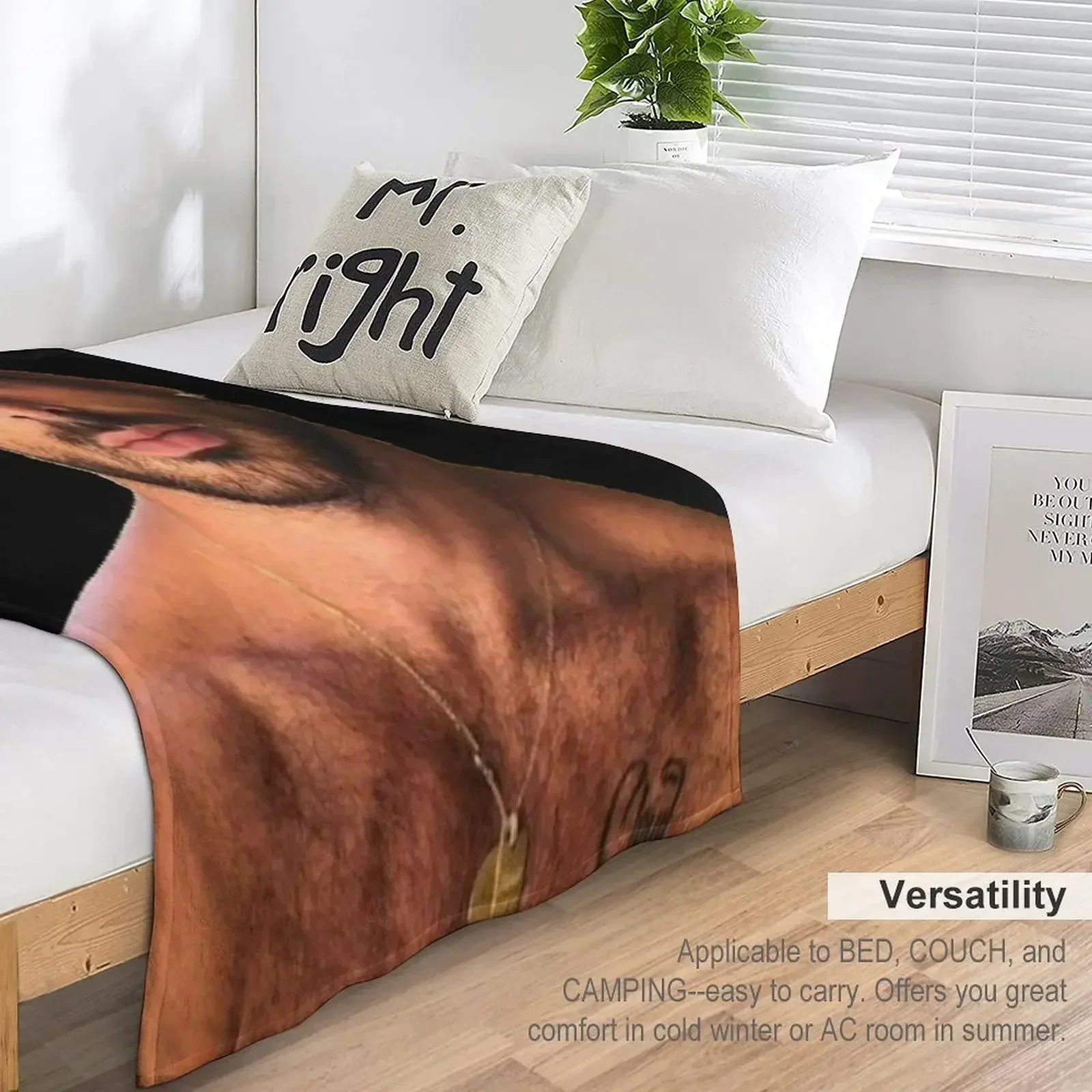 365 дней michele morrone пледы покрывала для кровати Furrys Роскошные брендовые одеяла