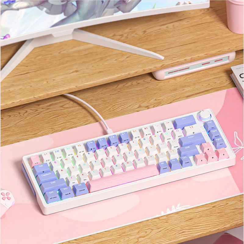 

60% Mini Mechanical Game Keyboard, 68 Key Wired RGB Backlight Compact Hot Swappable Type-C Suitable for Laptops