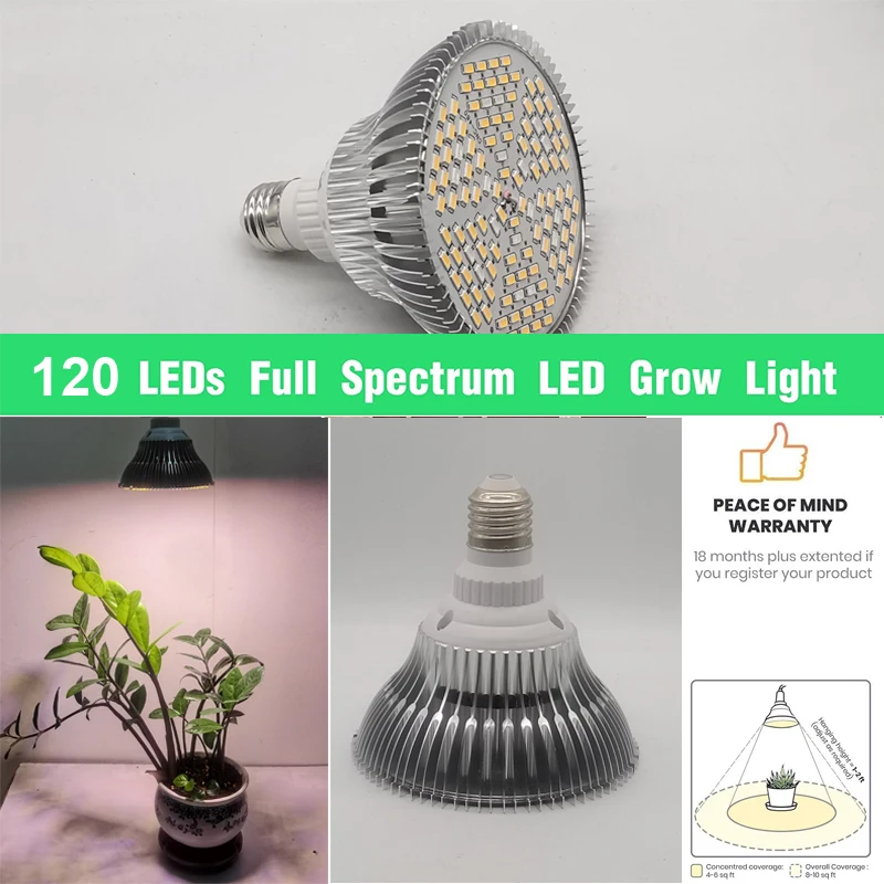 Рисунок 5 - Светодиодная лампа полного спектра