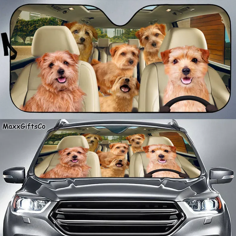 

Norfolk Terrier Car Sun Shade, Norfolk Terrier Windshield, Dogs Family Sunshade, Dogs Car Accessories, Car Decoration, Dogs Love