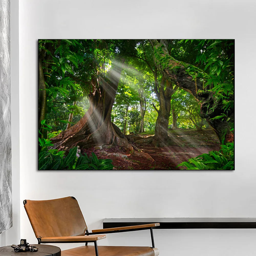 Пейзаж тропический Джунгли Лес зеленое дерево Солнечный свет холст живопись