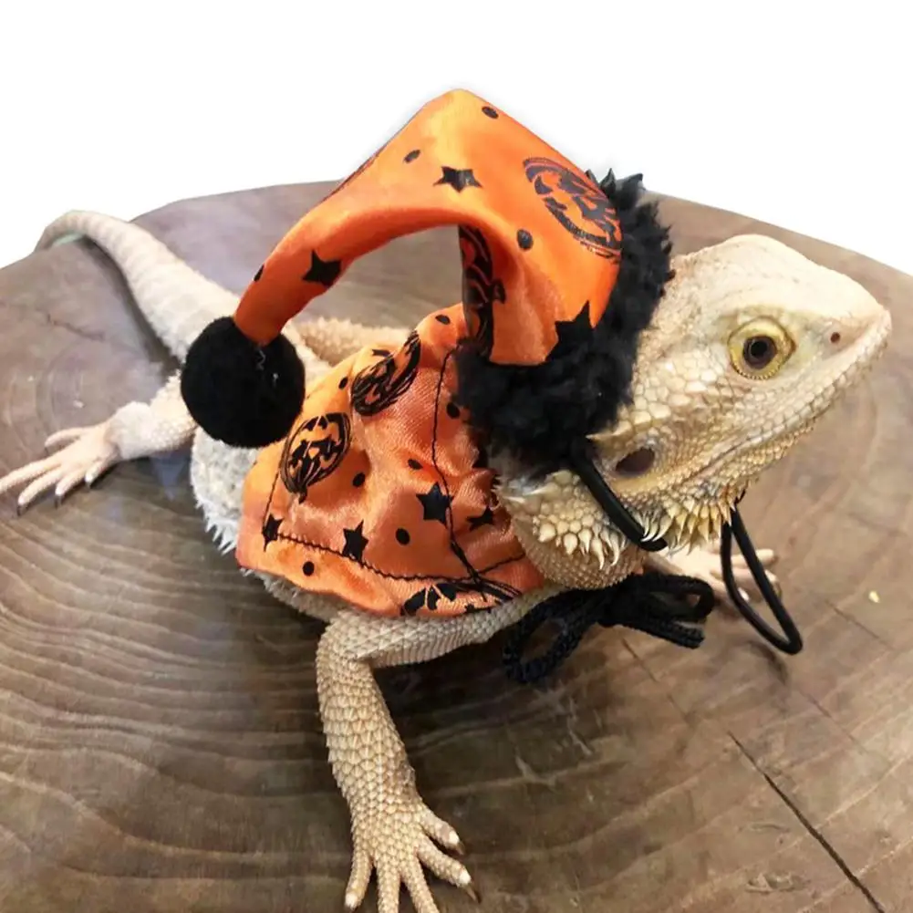Lizard Cloak Hat Set With Leash Adjustable Elastic Band Reptiles Halloween Costume Dress Up Clothes Hamster Guinea Pig Pet Items