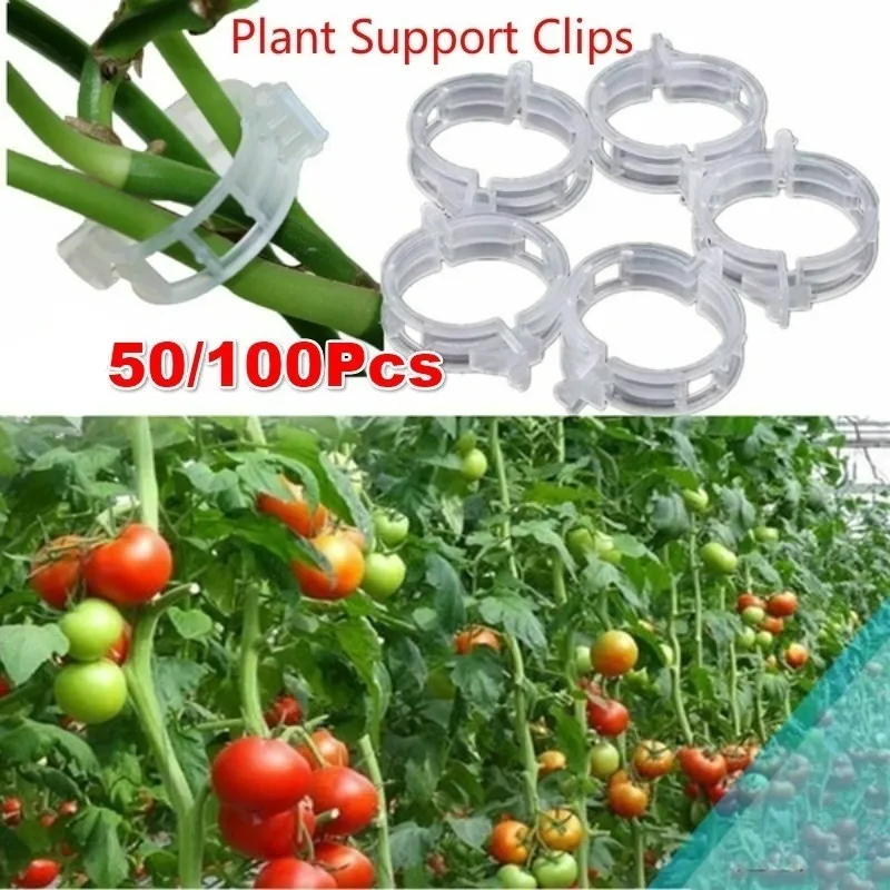 

Plant Clip Cantaloupe Clip Plastic Tied Vine Clip Tied Branch Clip Hanging Vine Clip Support Vine Clip Vine Fixed Clip