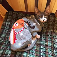 свитер для кота #3