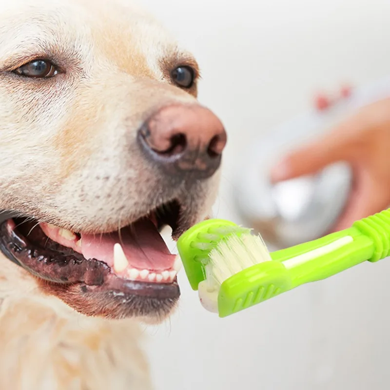 

Pet Toothbrush Three-Head Toothbrush Multi-angle Brushing Teeth Cleaning To Remove Bad Breath Dog Cat Toothbrush