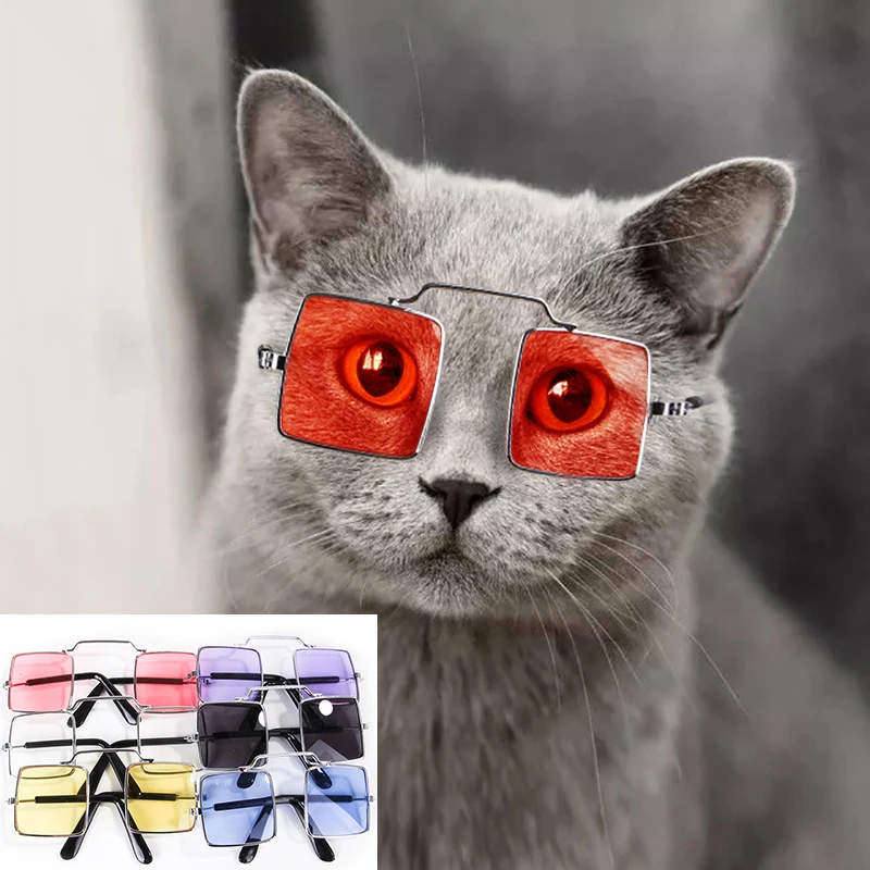

2022 New Pet Products Fashion Cat Sunglasses Reflection Eye Wear Flying Glasses for Small Dog Cat Pet Photos Props Accessories