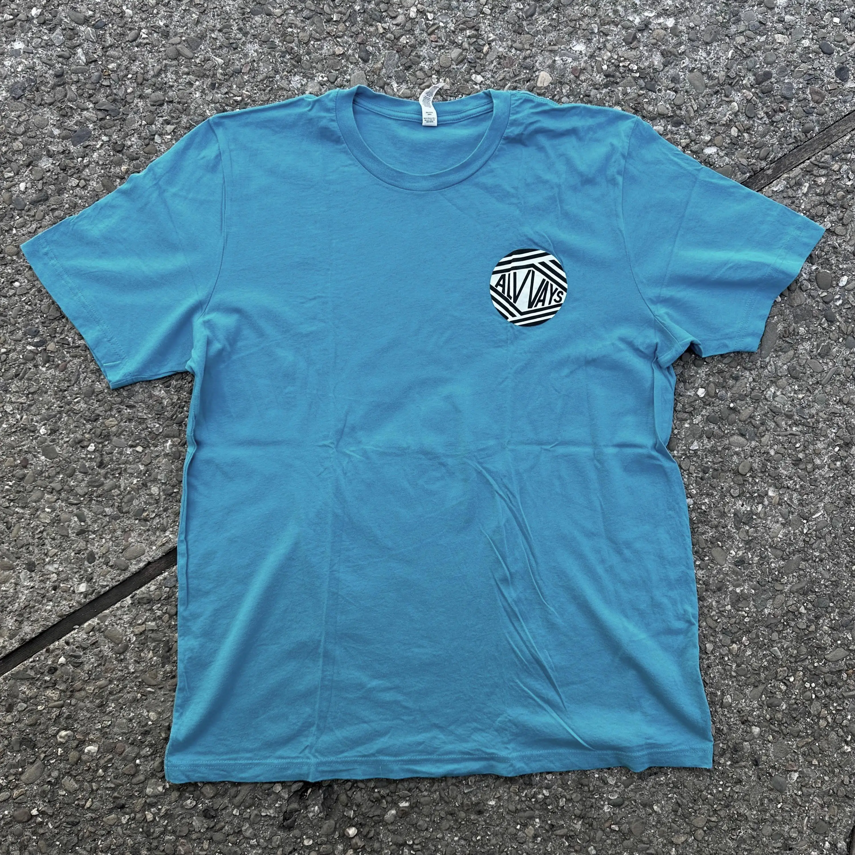 Футболка Alvvays B2