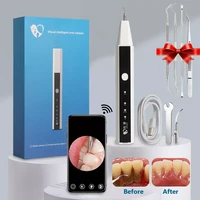 electric dental calculus remover ultrasonic scaler with hd camera teeth whitening cleaner tools tooth tartar plague removal