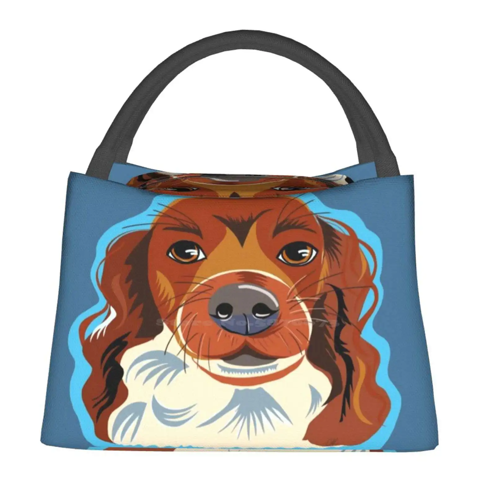 

Г-н Ц. Красивая переносная изоляционная сумка для корма собак, сумка-холодильник для собак, щенков, питомцев, животных, друзей, пушистых милы...