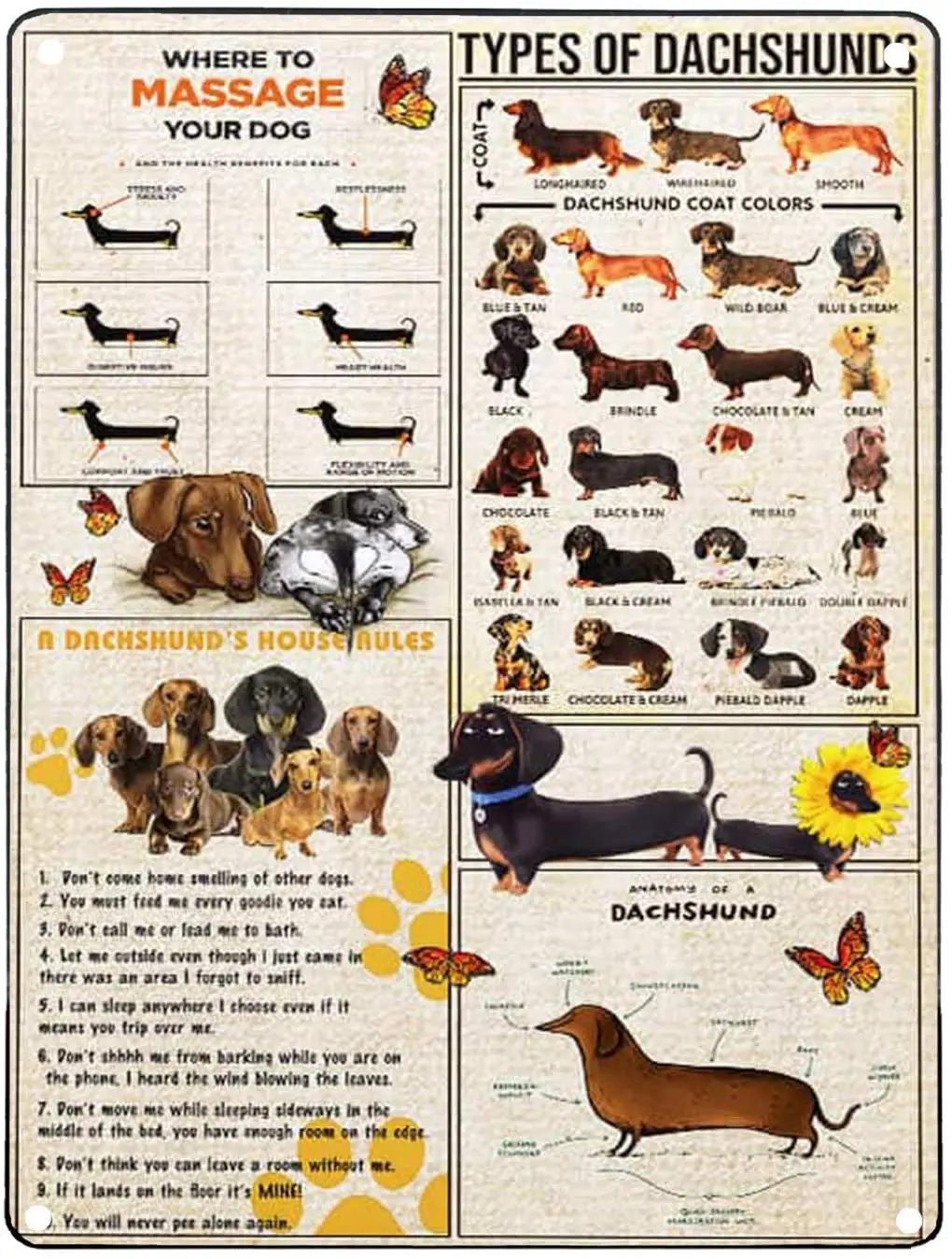 

Vintage Metal Sign Type of Dachshunds Poster for Wall Decoration Tin Poster of Bar Cafe Club Garage 12x8 inches