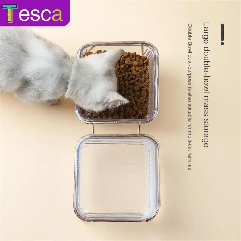 

Iron Art Protects Cervical Neck Cats Plates Stand Single/double Bowl Drinking Cat Grain Bowl High Foot Pet Bowl Pet Accessories