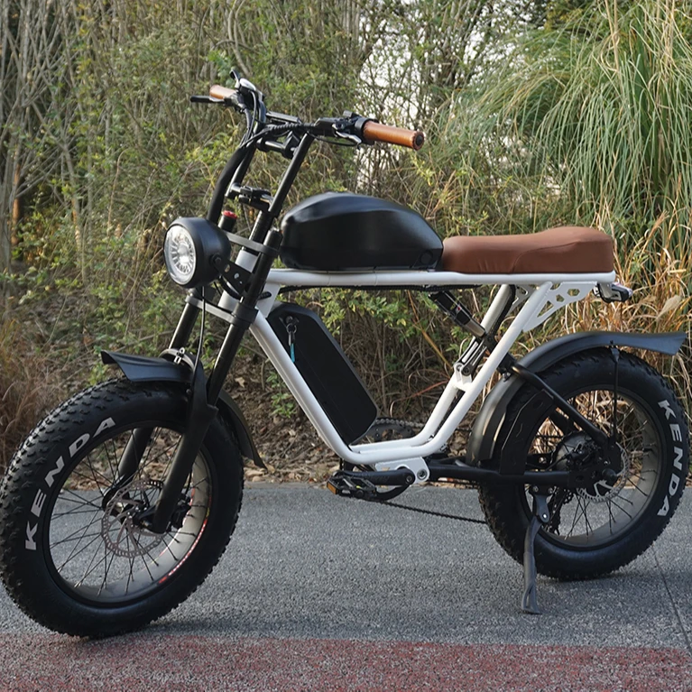 2023 new retro vintage super Electric Hybrid bicycle 73 fat tire 20 inch 1000W ebike 48V 30AH long range e city bike