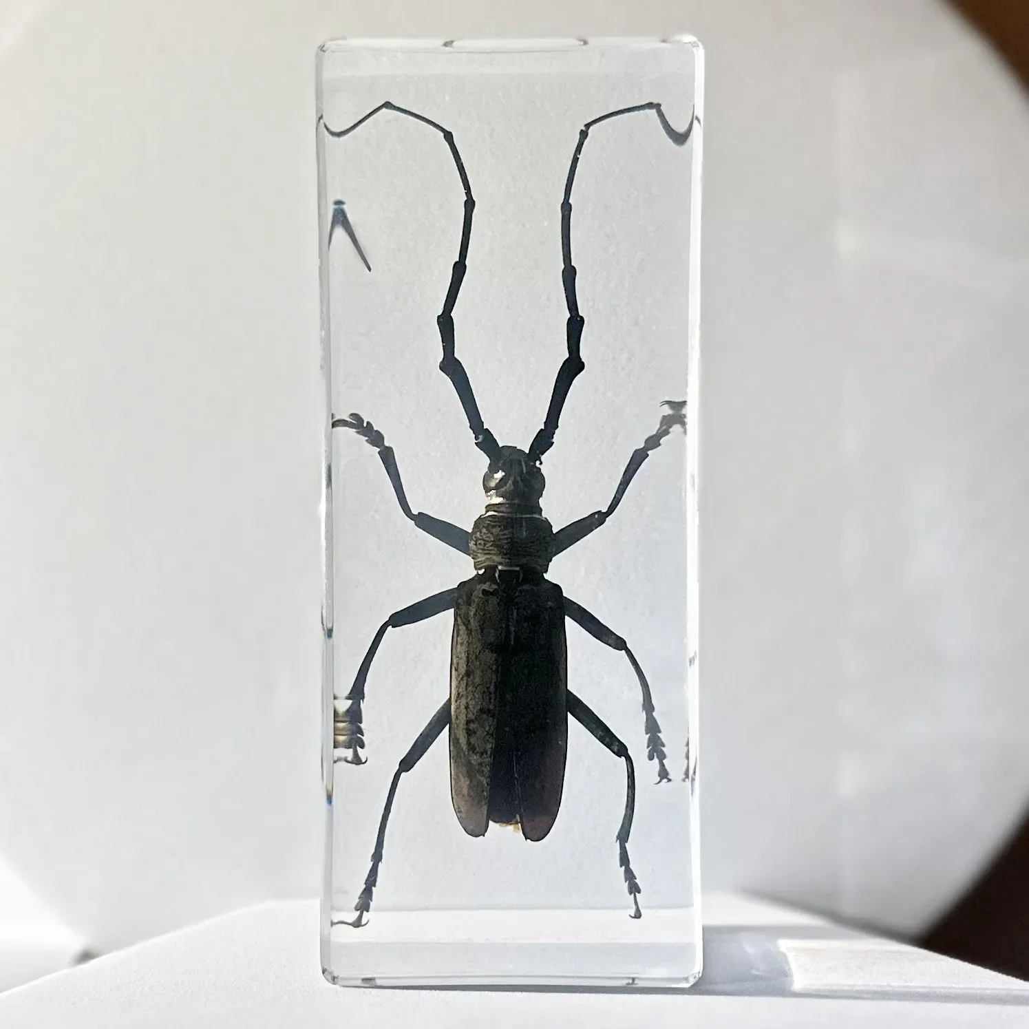 Стиль искусственный образец прозрачный зернистый белый пятнистый длинный