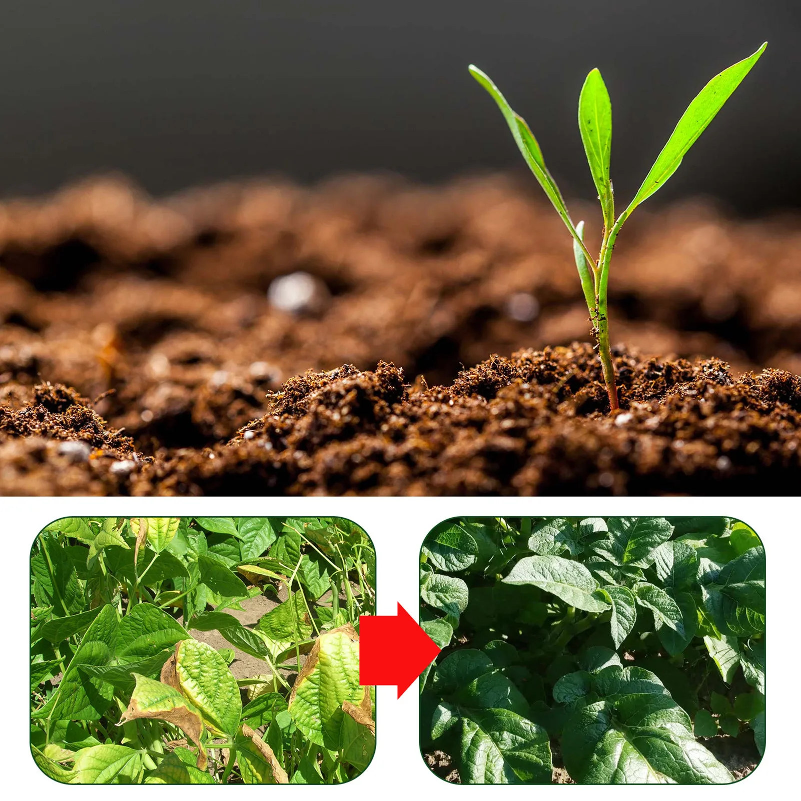 

Blended Mixture Potting Nutrient SoilIndoor Outdoor Garden Peat Planting Organic Nutrient Rich Soil For Repotting Growing