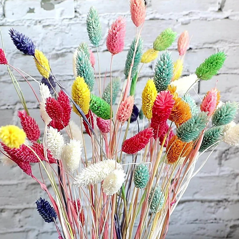 

Luxury Flower Decoration Environmental Friendly Natural Dried Phalaris Flowers Decorative Gem Grass Bouquet Wedding Party Decor