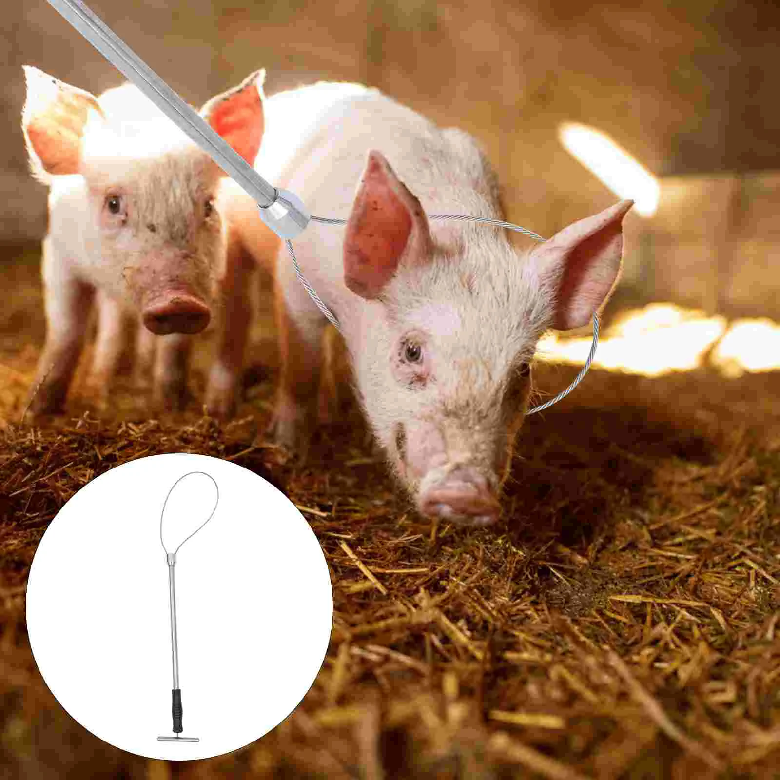 

Catcher Holder Stainless Steel Catcher Adjustable Portable Trap Livestock Snare Farming