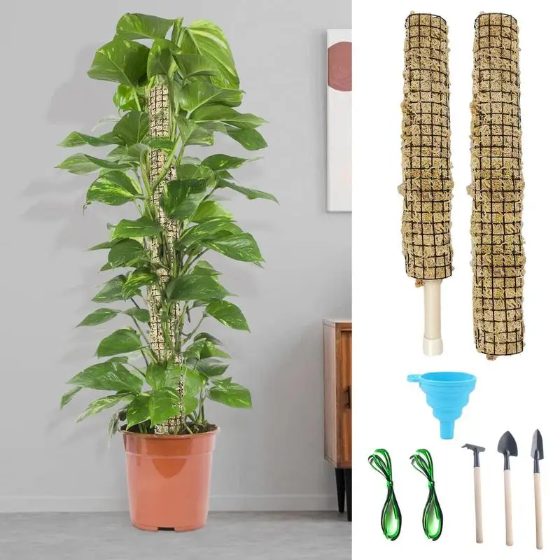 

Plant Climbing Rod Climbing Vine Coconut Palm Rod Can Be Bent And Shaped DIY Modeling Moss Rod Green Dill Gardening Pillar