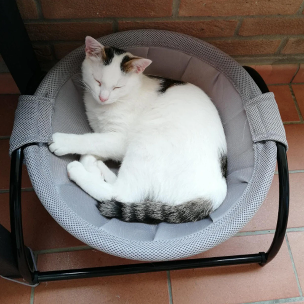 

Подвесная кровать для кошки, дышащий мягкий круглый домик, гамак для кошек, уютное кресло-качалка, съемные кровати для домашних животных, по...