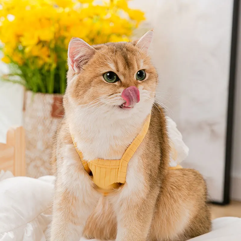 Кружевное платье с кроликом щенком жилет для домашних животных кошка на весну и