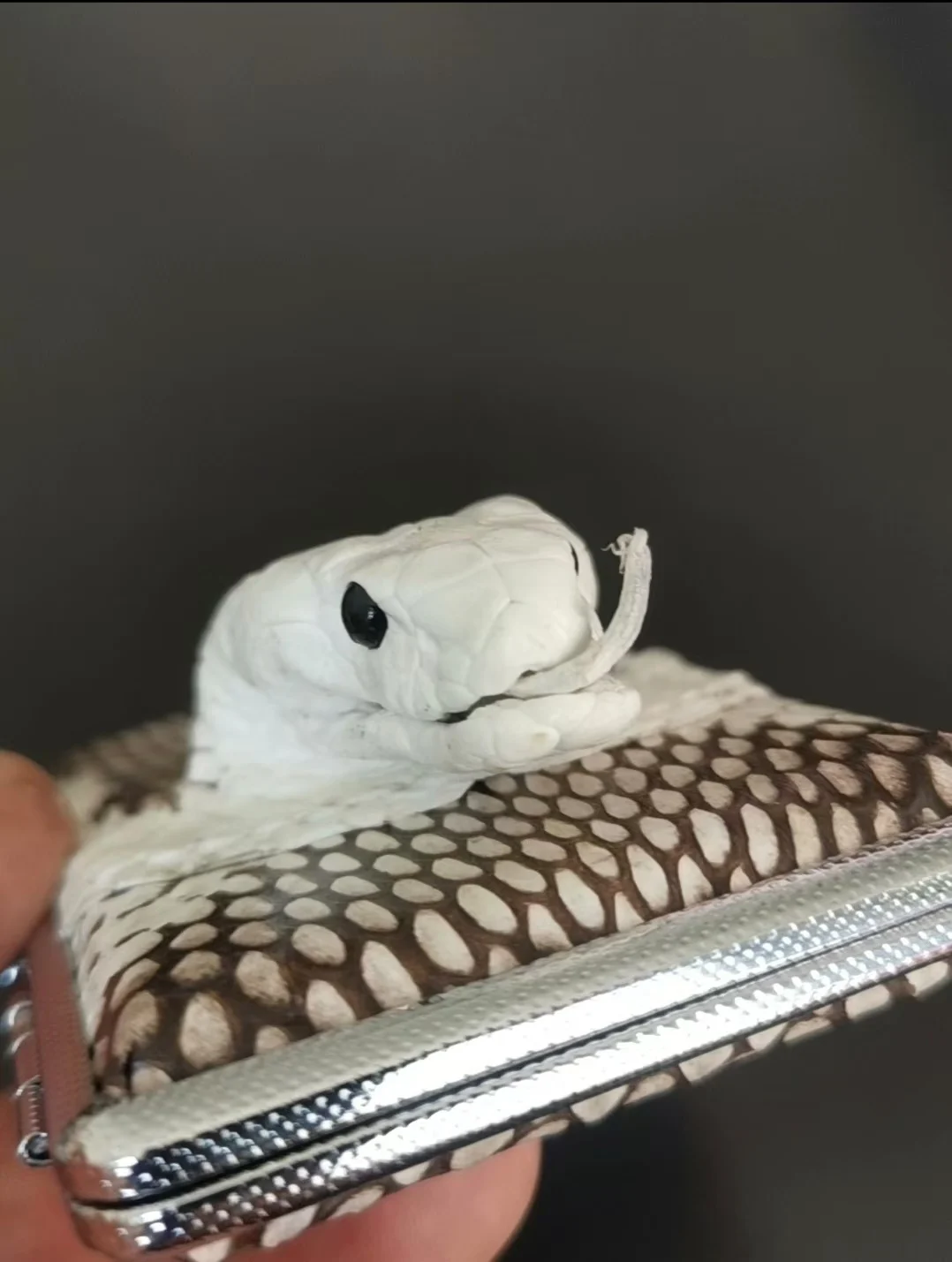 Новинка 2024 роскошный портсигар из натуральной кожи питона тонкий держатель для