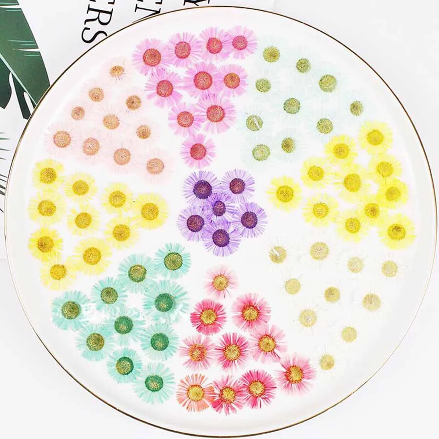 

30pcs Pressed Dried Erigeron Annuus Flower Plants Herbarium For Wedding Party Home Pendant Necklace Craft DIY Accessories