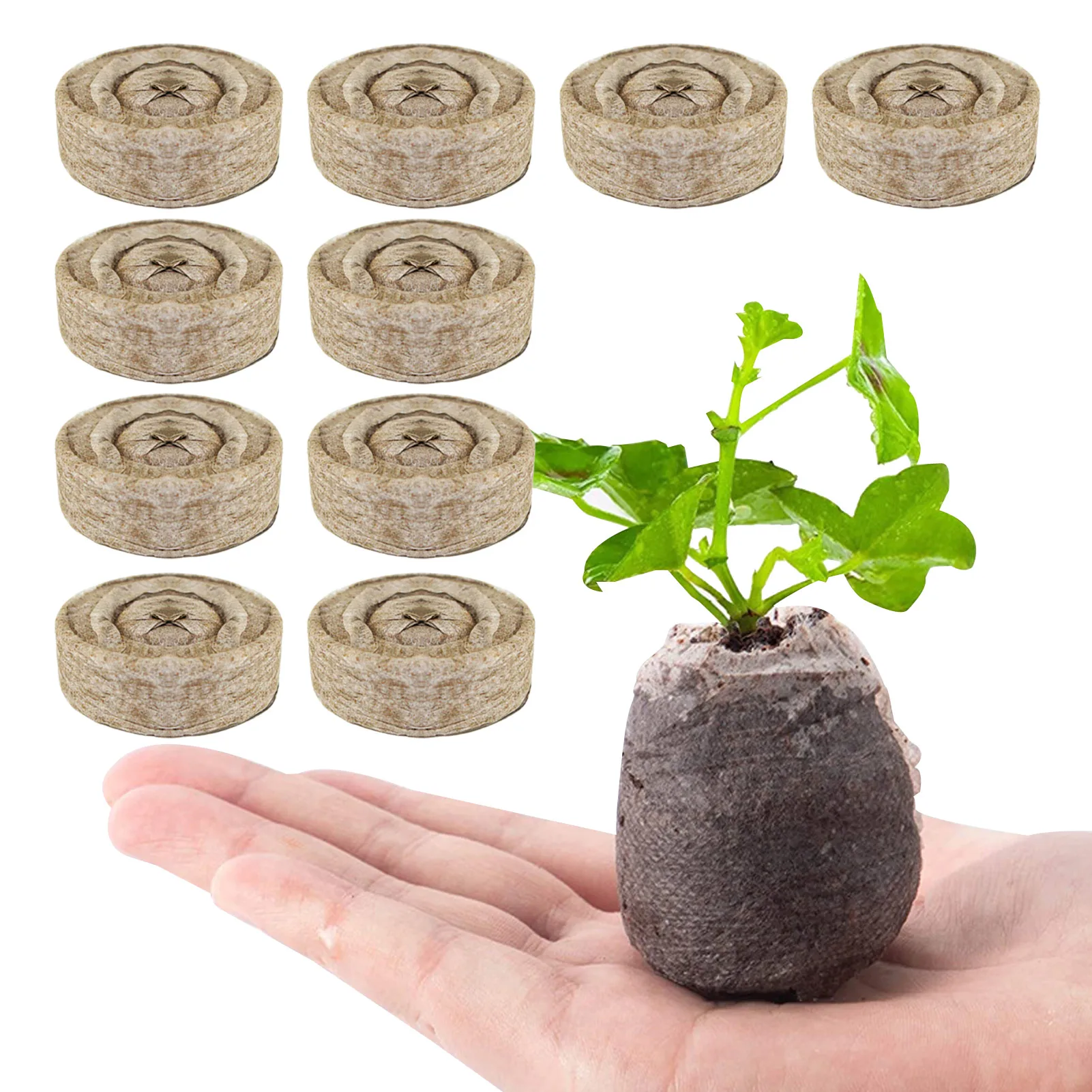 

10 Count Peat Pellets Seed Starter Seeds Starting Soil Seedling Mud Indoor Seed Starter Start Planting Garden Avoid Root Block