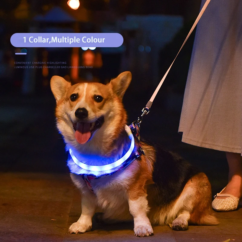 Dog Collar LED Light USB Discoloration Luminous Collar Rechargeable Colorful Silicone Dog Collars Adjustable Anti Lost Pet Chien