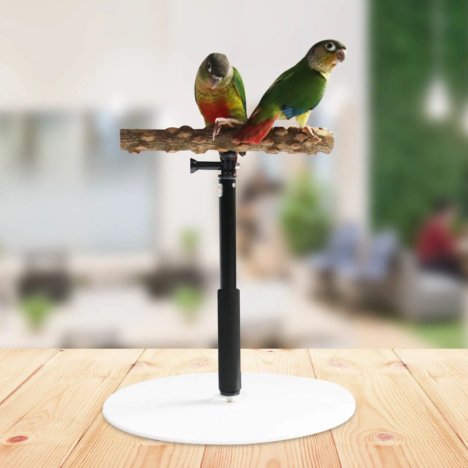 

Bird Stand Adjustable Playstand For Pet Bird Parrot Training Stand Portable Tee Stand Retractable Perch Playstand For Parrot