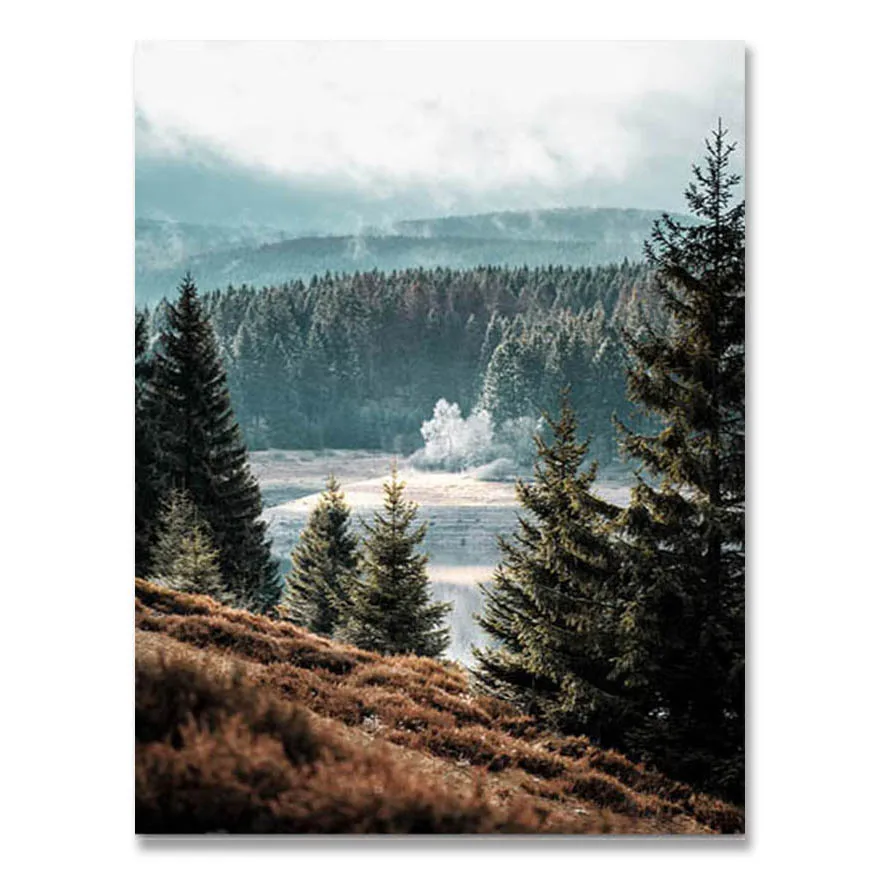 

Настенный постер AliPaint Современный пейзаж