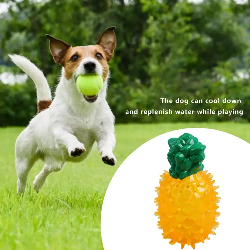 With Fruit Shape Design Freezable Dog Chew Toy For Collie Poodle Labrador